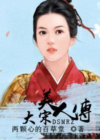 大宋美人传