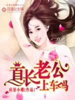 宠妻狂魔龙太子,上车吗?